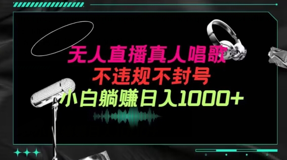 抖音24小时无人直播音乐，不违规，不封号纯撸音浪，小白实操当天日入1000+【揭秘】-圆梦资源网