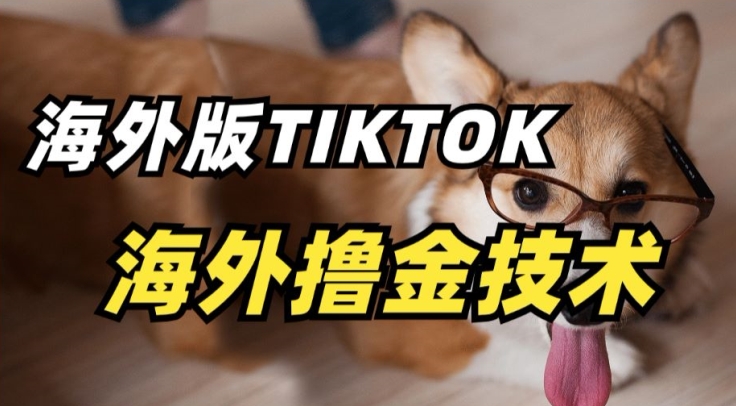 抖音海外版tiktok撸金技术，这个风口行业，赚钱真的不难【揭秘】-圆梦资源网