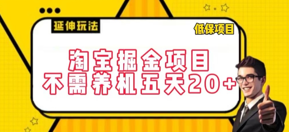 淘宝掘金项目，不需养机，五天20+，每天只需要花三四个小时【揭秘】-圆梦资源网