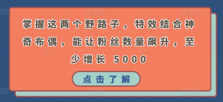 掌握这两个野路子，特效结合神奇布偶，能让粉丝数量飙升，至少增长 5000【揭秘】-圆梦资源网
