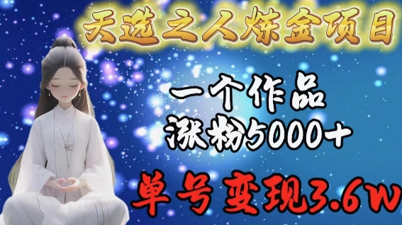 天选之人炼金项目，一个作品涨粉5000+，单号变现3.6w【揭秘】-圆梦资源网