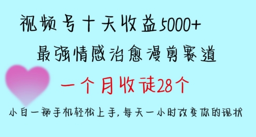 十天收益5000+，多平台捞金，视频号情感治愈漫剪，一个月收徒28个，小白一部手机轻松上手【揭秘】-圆梦资源网