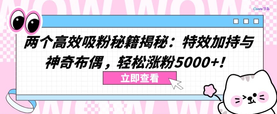 两个高效吸粉秘籍揭秘：特效加持与神奇布偶，轻松涨粉5000+【揭秘】-圆梦资源网