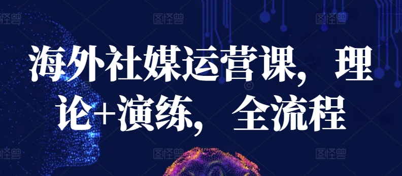 海外社媒运营课，理论+演练，全流程-圆梦资源网
