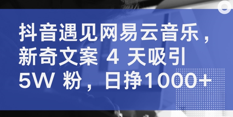 抖音遇见网易云音乐，新奇文案 4 天吸引 5W 粉，日挣1000+【揭秘】-圆梦资源网