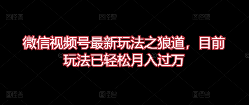 微信视频号最新玩法之狼道，目前玩法已轻松月入过万【揭秘】-圆梦资源网