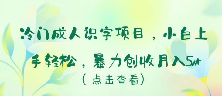冷门成人识字项目，小白上手轻松，暴力创收月入5w+【揭秘】-圆梦资源网