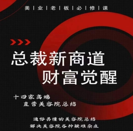 总裁新商道(美业老板必修课)，通俗易懂的美容院总结，解决美容院各种疑难杂症-圆梦资源网
