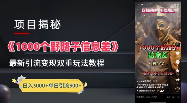 一千个野路子信息差最新玩法教程-变现+引流的玩法具体拆解【揭秘】-圆梦资源网