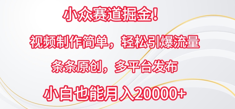 小众赛道掘金，视频制作简单，轻松引爆流量，条条原创，多平台发布【揭秘】-圆梦资源网