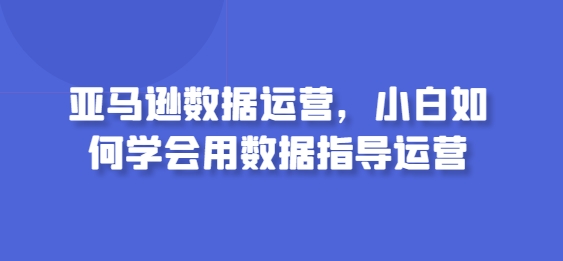 亚马逊数据运营，小白如何学会用数据指导运营-圆梦资源网