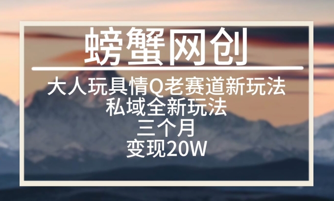 大人玩具情Q用品赛道私域全新玩法，三个月变现20W，老项目新思路【揭秘】-圆梦资源网