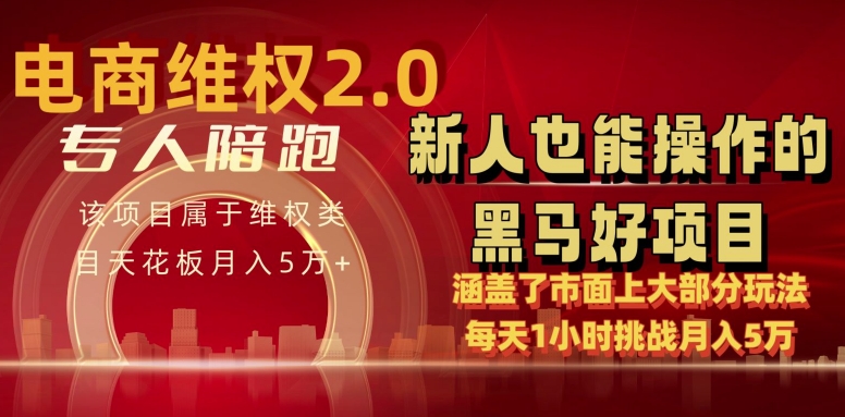 电商维权 4.0 如何做到月入 5 万+每天 1 小时新人也能快速上手【仅揭秘】-圆梦资源网