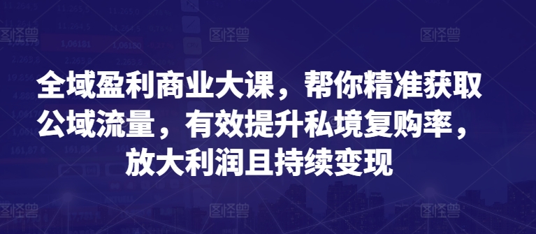 全域盈利商业大课，帮你精准获取公域流量，有效提升私境复购率，放大利润且持续变现-圆梦资源网