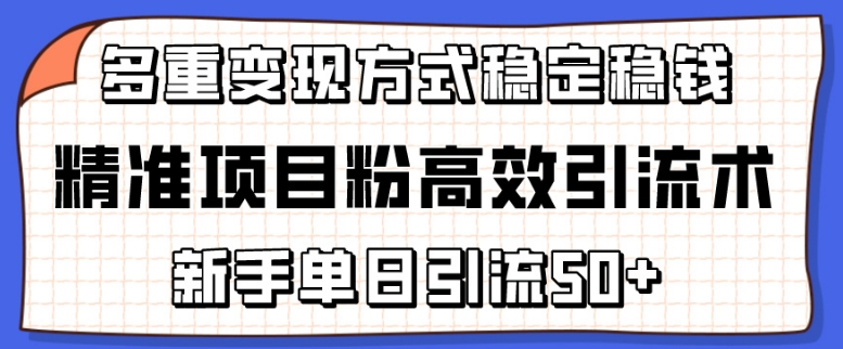 精准项目粉高效引流术，新手单日引流50+，多重变现方式稳定赚钱【揭秘】-圆梦资源网