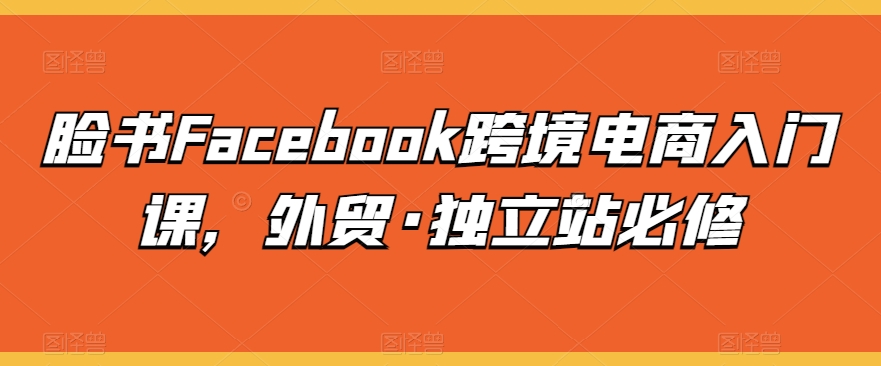 脸书Facebook跨境电商入门课，外贸·独立站必修-圆梦资源网