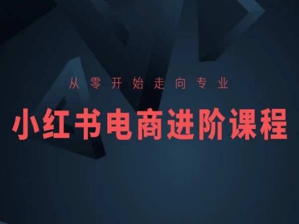 从零开始走向专业，小红书电商进阶课程-圆梦资源网