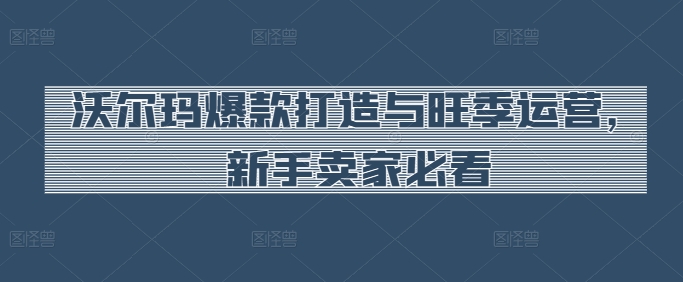 沃尔玛爆款打造与旺季运营，新手卖家必看-圆梦资源网