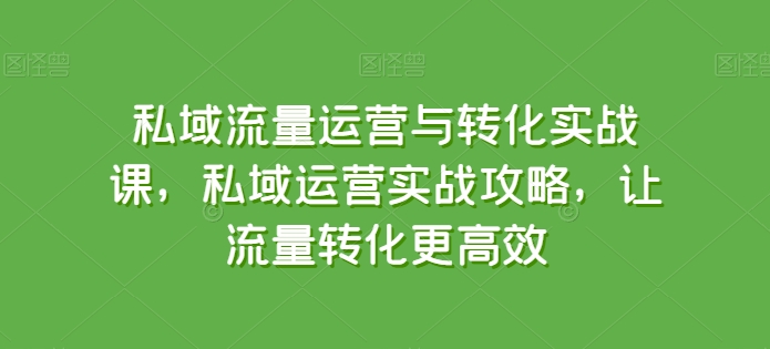 私域流量运营与转化实战课，私域运营实战攻略，让流量转化更高效-圆梦资源网
