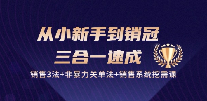从小新手到销冠 三合一速成：销售3法+非暴力关单法+销售系统挖需课 (27节)-圆梦资源网