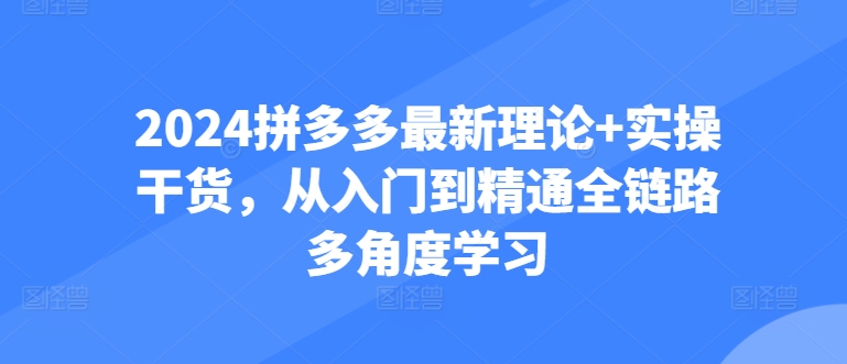 2024拼多多最新理论+实操干货，从入门到精通全链路多角度学习-圆梦资源网