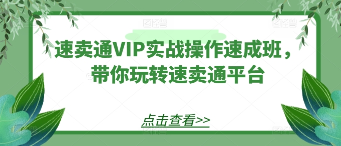 速卖通VIP实战操作速成班，带你玩转速卖通平台-圆梦资源网