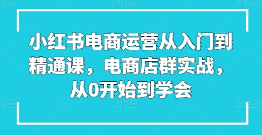 小红书电商运营从入门到精通课，电商店群实战，从0开始到学会-圆梦资源网
