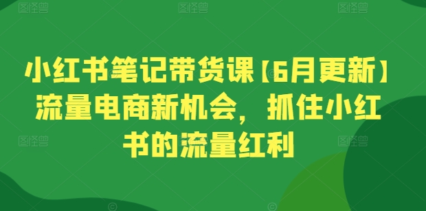 小红书笔记带货课【6月更新】流量电商新机会，抓住小红书的流量红利-圆梦资源网