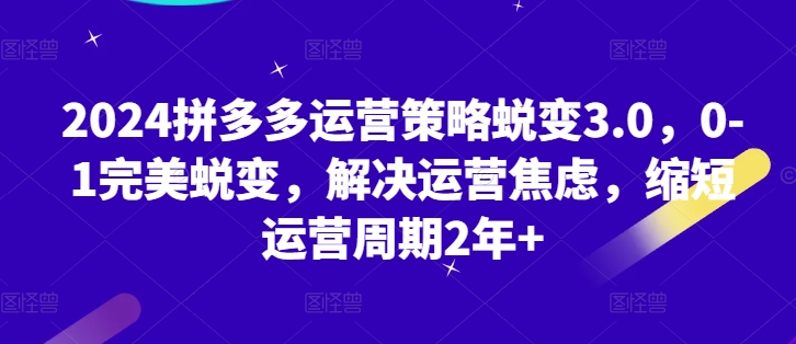 2024拼多多运营策略蜕变3.0，0-1完美蜕变，解决运营焦虑，缩短运营周期2年+-圆梦资源网