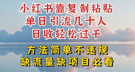 小红书靠复制粘贴单日引流几十人目收轻松过千，方法简单不违规【揭秘】-圆梦资源网