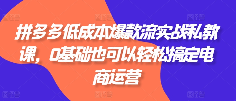 拼多多低成本爆款流实战私教课，0基础也可以轻松搞定电商运营-圆梦资源网