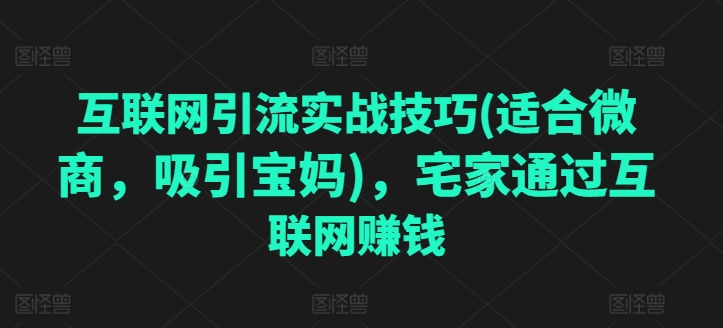 互联网引流实战技巧(适合微商，吸引宝妈)，宅家通过互联网赚钱-圆梦资源网