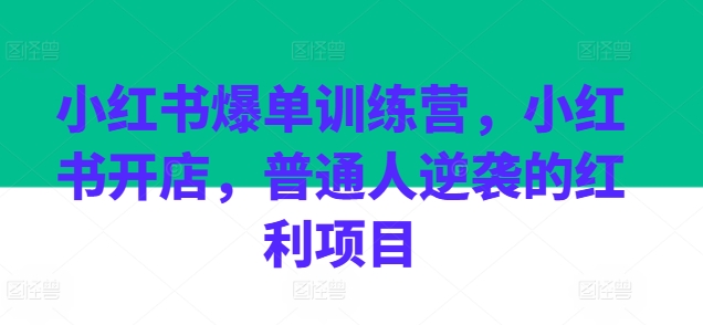 小红书爆单训练营，小红书开店，普通人逆袭的红利项目-圆梦资源网