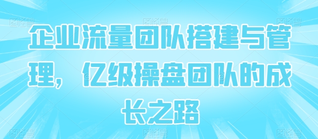 企业流量团队搭建与管理，亿级操盘团队的成长之路-圆梦资源网