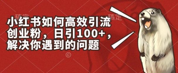 小红书如何高效引流创业粉，日引100+，解决你遇到的问题【揭秘】-圆梦资源网