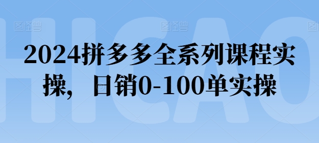 2024拼多多全系列课程实操，日销0-100单实操【必看】-圆梦资源网