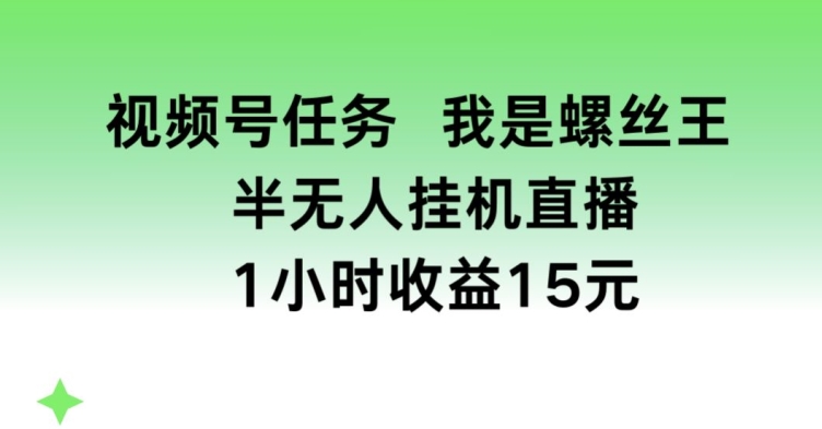 视频号任务，我是螺丝王， 半无人挂机1小时收益15元【揭秘】-圆梦资源网