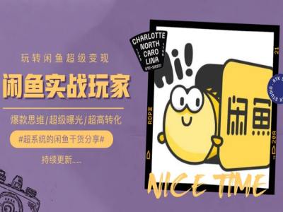 手把手教你0到1系统玩转闲鱼变现，爆款思维/超级曝光/超高转化-圆梦资源网