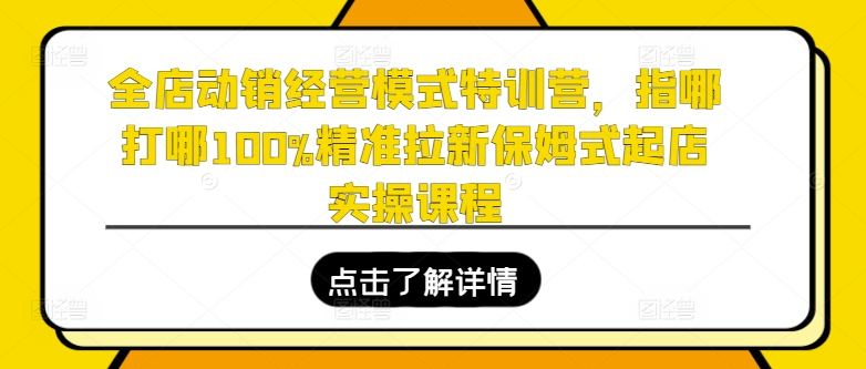 全店动销经营模式特训营，指哪打哪100%精准拉新保姆式起店实操课程-圆梦资源网