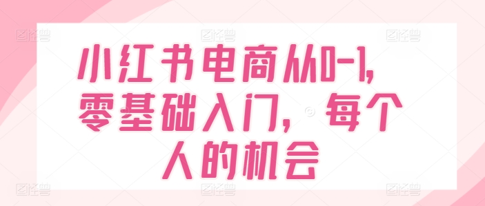 小红书电商从0-1，零基础入门，每个人的机会-圆梦资源网