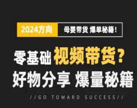 短视频母婴赛道实操流量训练营，零基础视频带货，好物分享，爆量秘籍-圆梦资源网