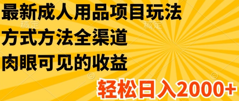 最新成人用品项目玩法，方式方法全渠道，轻松日入2K+【揭秘】-圆梦资源网