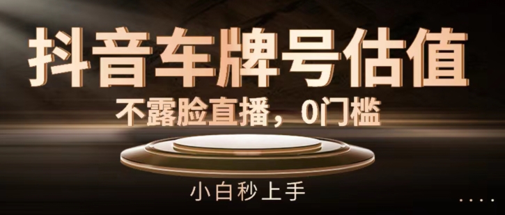抖音车牌号估值，不露脸直播，0门槛，小白秒上手【揭秘】-圆梦资源网