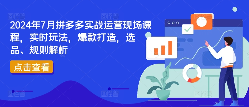 2024年7月拼多多实战运营现场课程，实时玩法，爆款打造，选品、规则解析-圆梦资源网