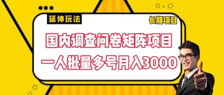 国内调查问卷矩阵项目，一人批量多号月入3000【揭秘】-圆梦资源网