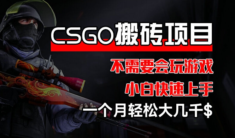 CSGO 装备搬砖项目，操作简单，不需要会玩游戏，小白也能快速上手，一个月轻松大几千【揭秘】-圆梦资源网