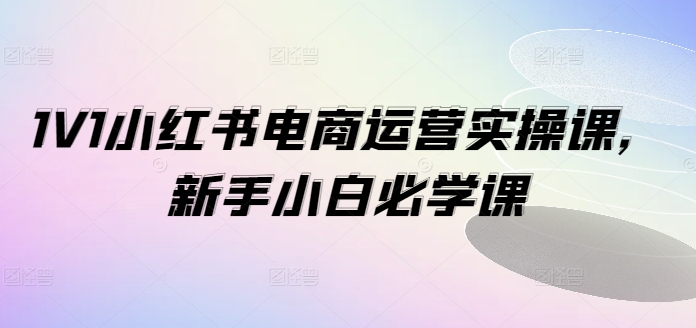1V1小红书电商运营实操课，新手小白必学课-圆梦资源网