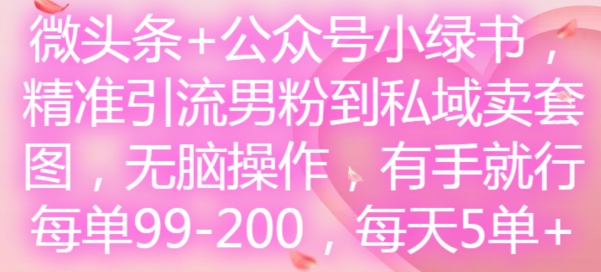 微头条+公众号小绿书，精准引流男粉到私域卖套图，无脑操作，有手就行，每单99-200，每天5单-圆梦资源网
