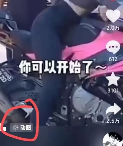 2024年7月苹果手机动图搬运技术-圆梦资源网