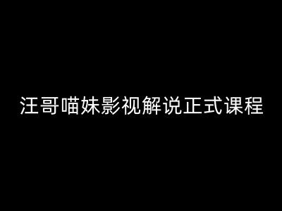 汪哥影视解说正式课程：剪映/PR教学/视解说剪辑5大黄金法则/全流程剪辑7把利器等等-圆梦资源网